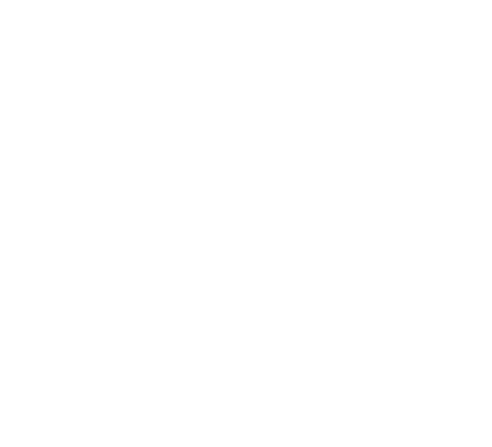 RAINS