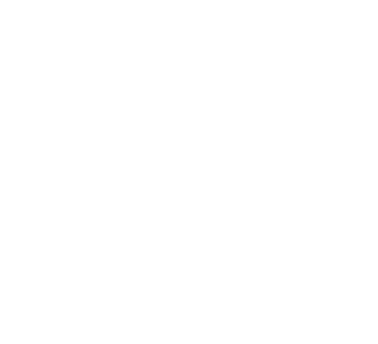 Mizuno