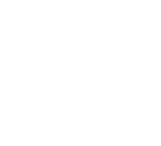 A-DAM