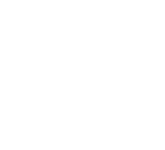 Shoe The Bear