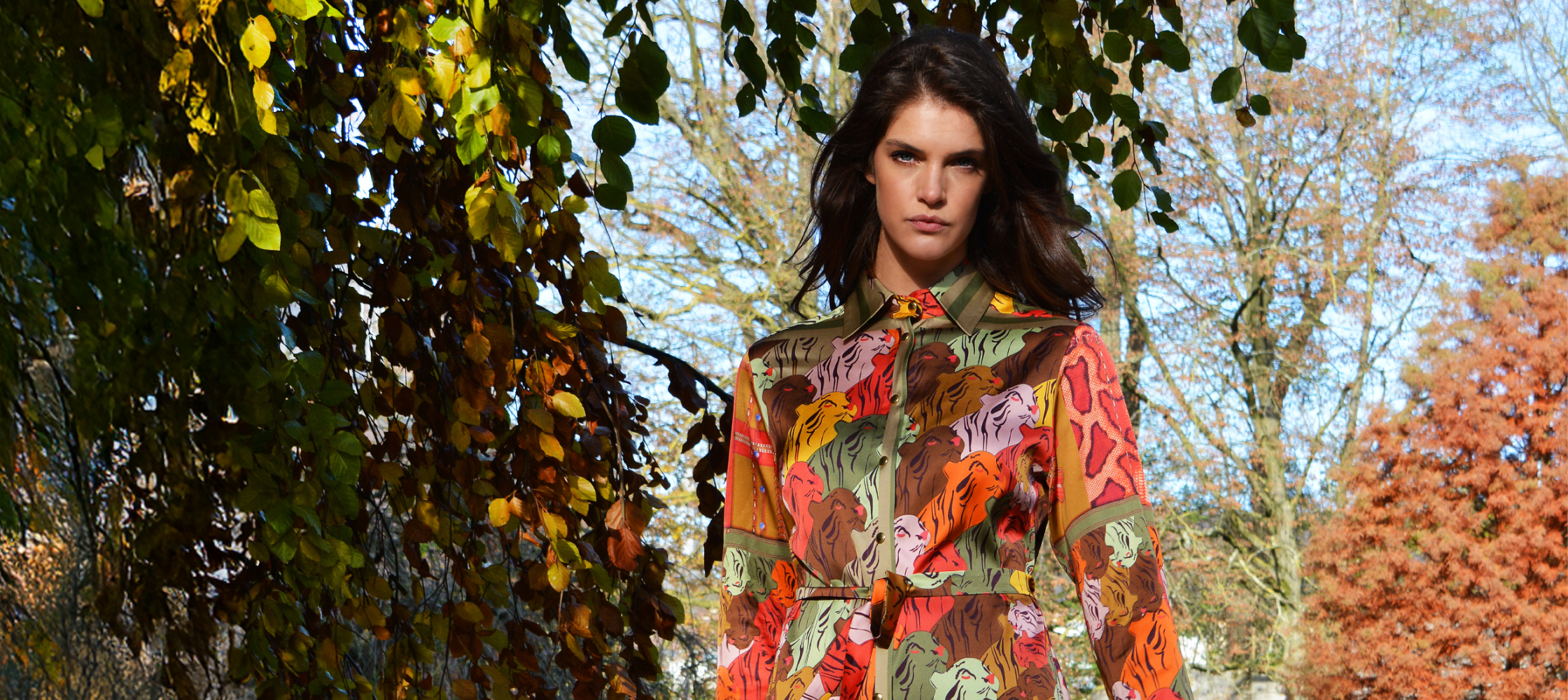 Mucho Gusto brand cover