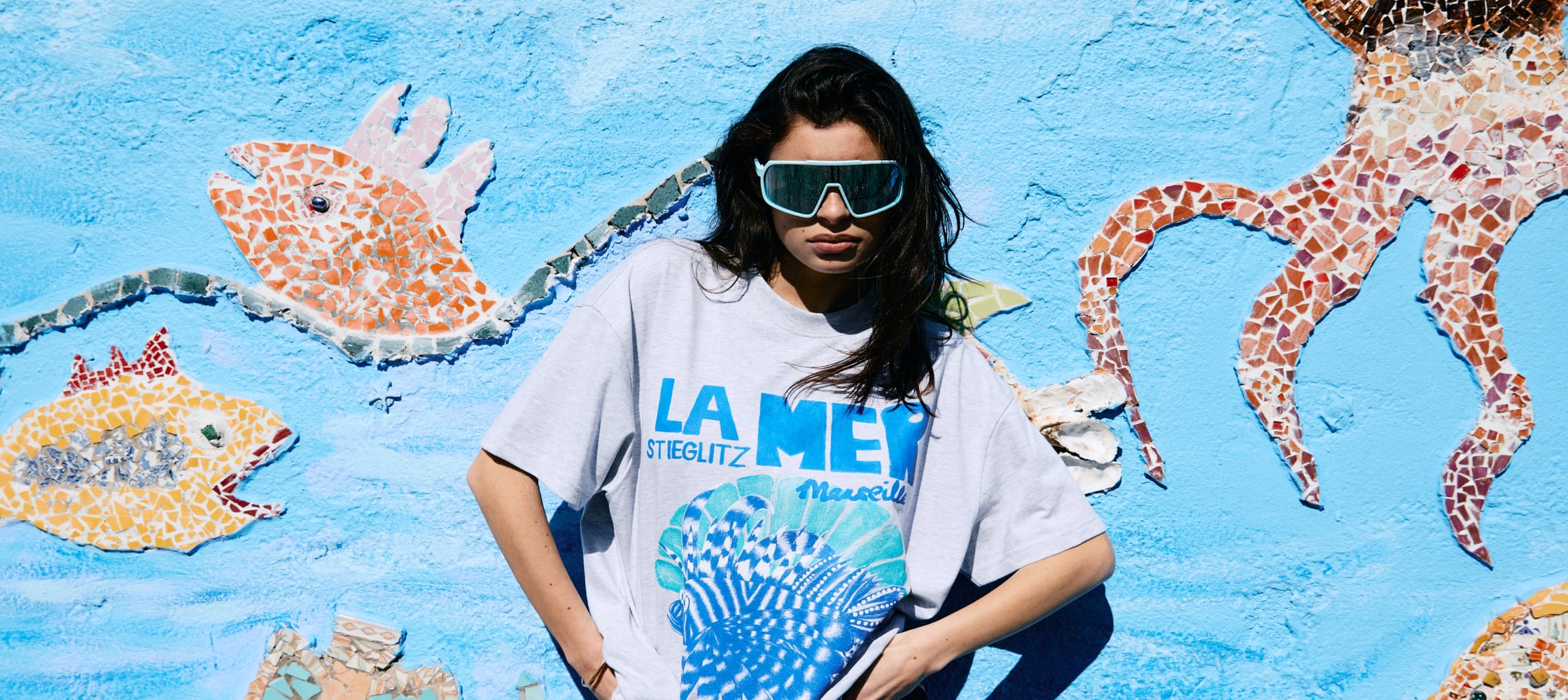 Stieglitz brand cover