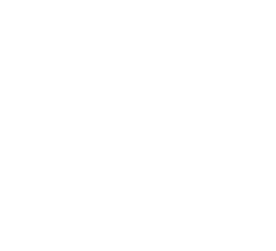 Isabel Marant