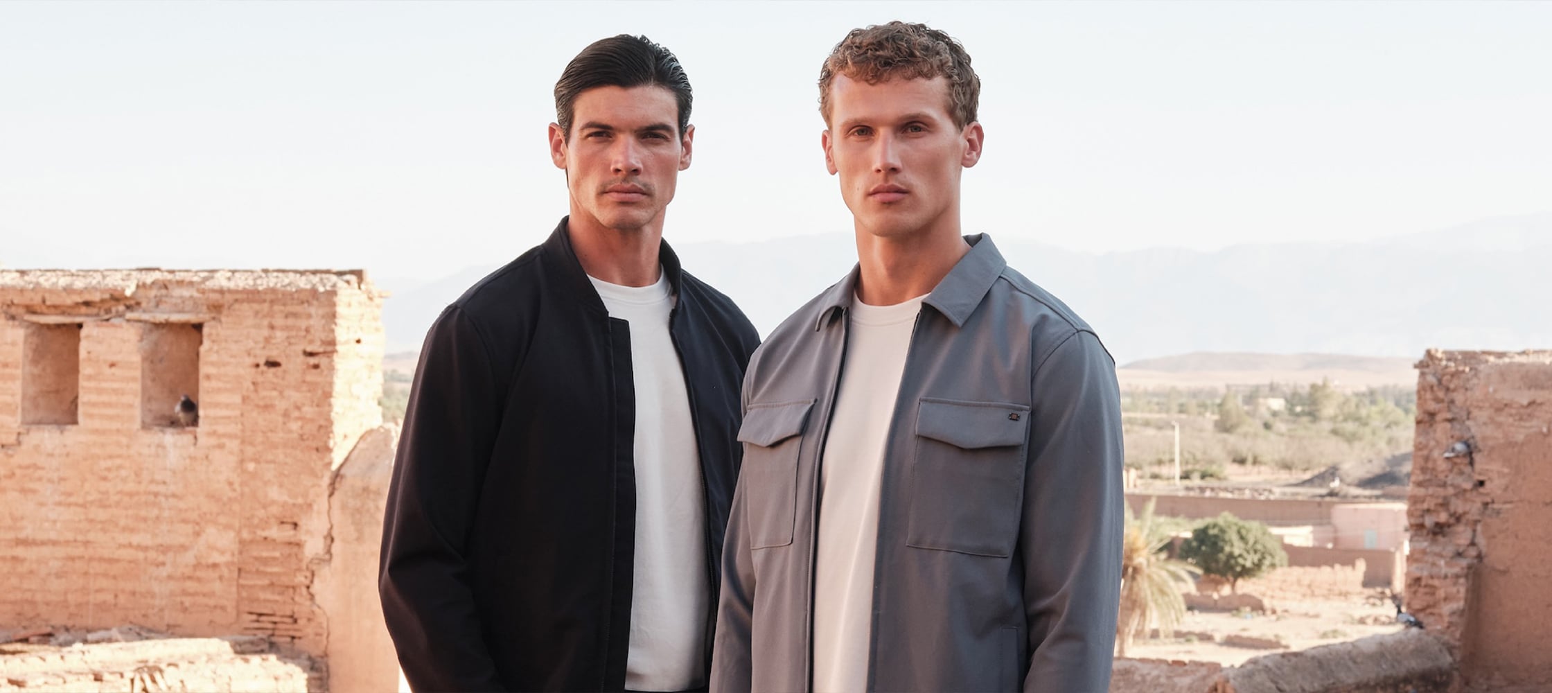 Dstrezzed brand cover