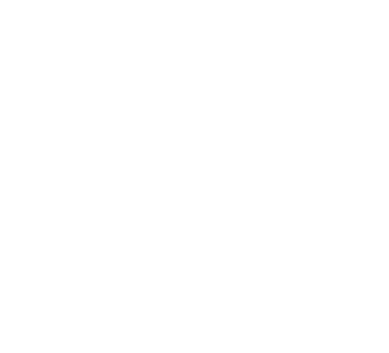 CHASIN’