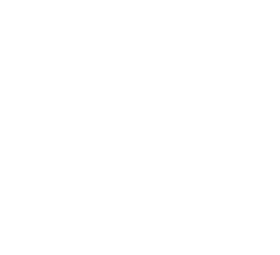 Studio Anneloes