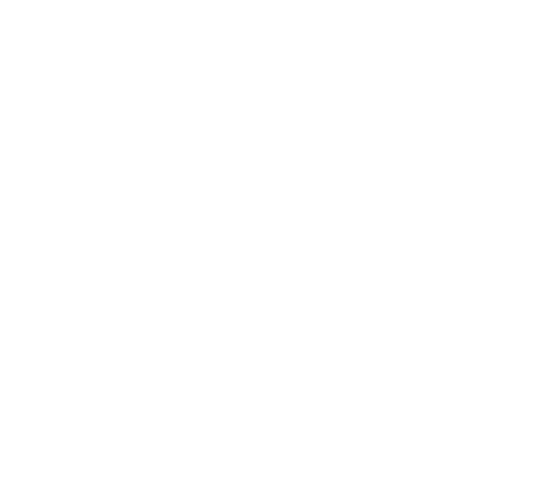 Bronx