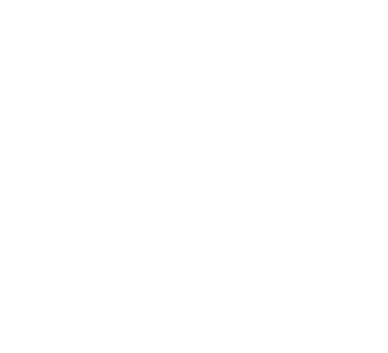 Steve Madden