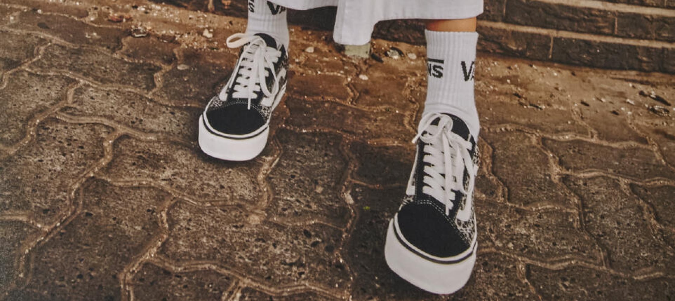 Vans brand cover