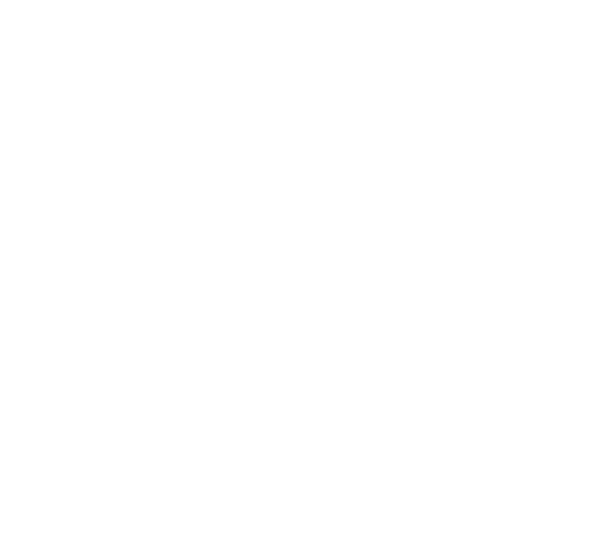 Nubikk