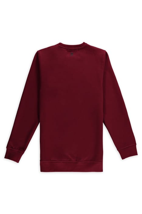ASPACT CIRCLE SWEATSHIRT RHUBARB 2