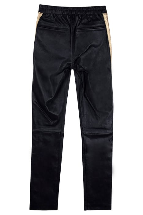 CINNAMON BLACKGOLD 2