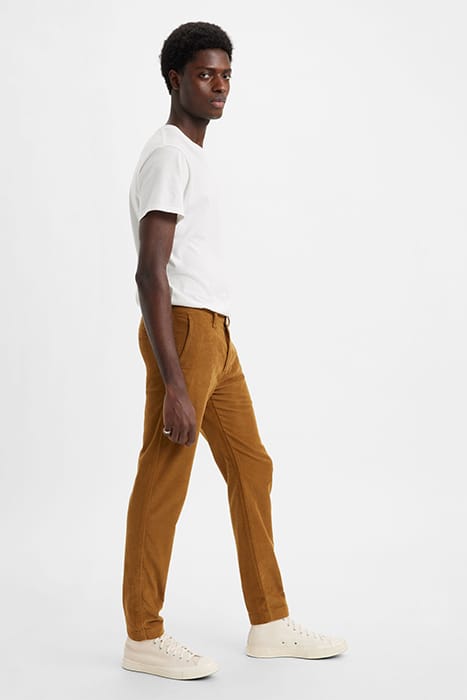 XX TAILORED PANT BROWN 5