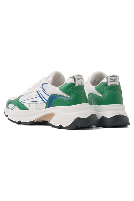 ROSS NOMAD (L) GRASS COMBI 3