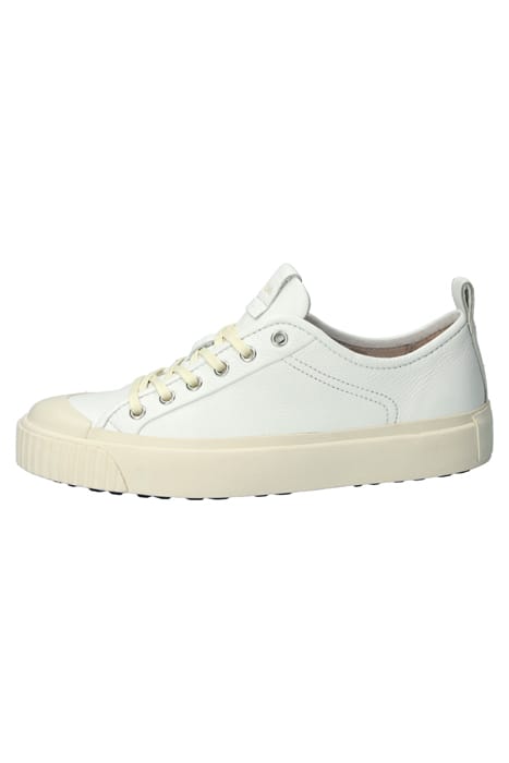 ZOEY LOW - ZL71 WHITE - SNEAKER (LOW) 9