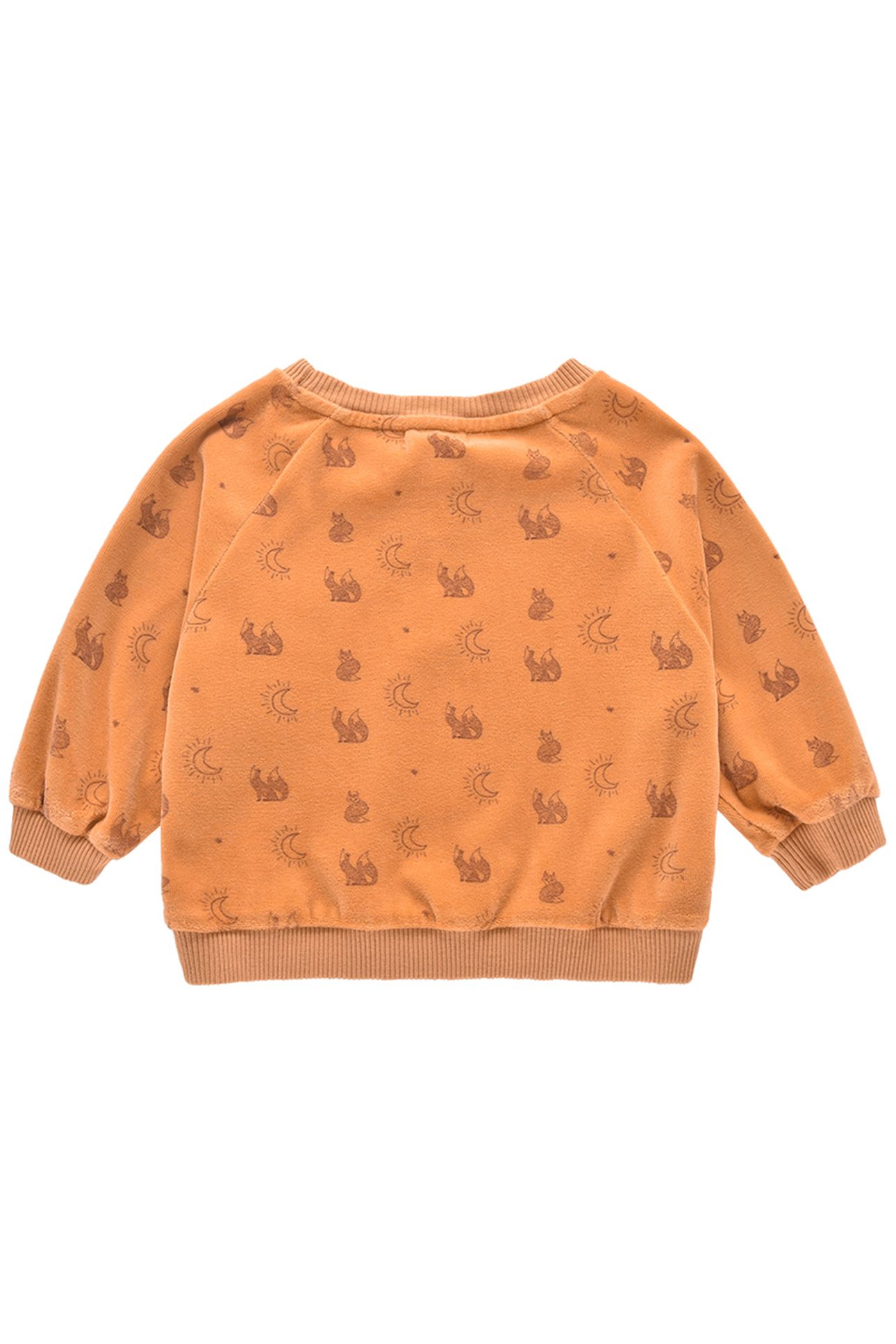 SWEATSHIRT SAMUEL NUTS 2