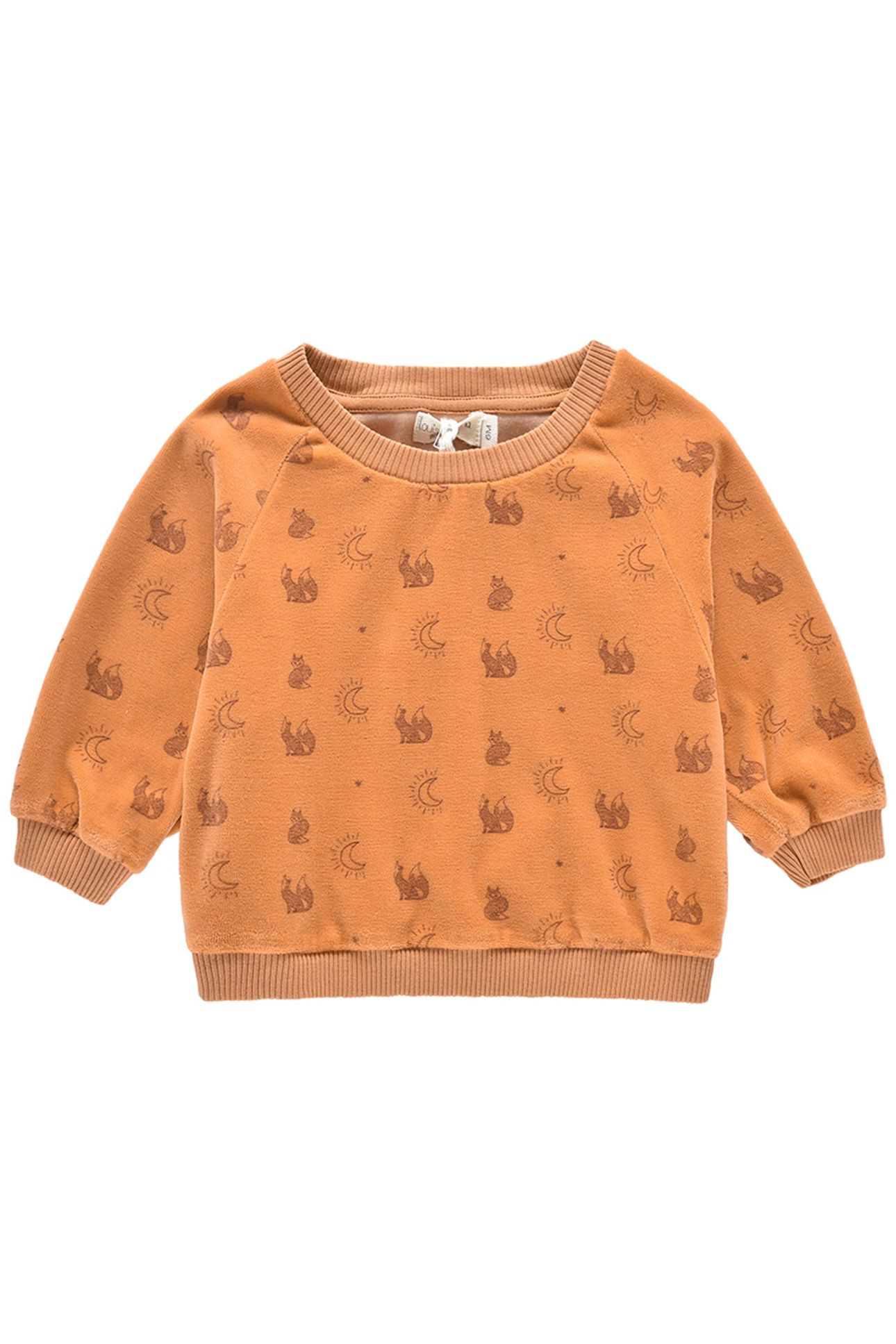 SWEATSHIRT SAMUEL NUTS 1