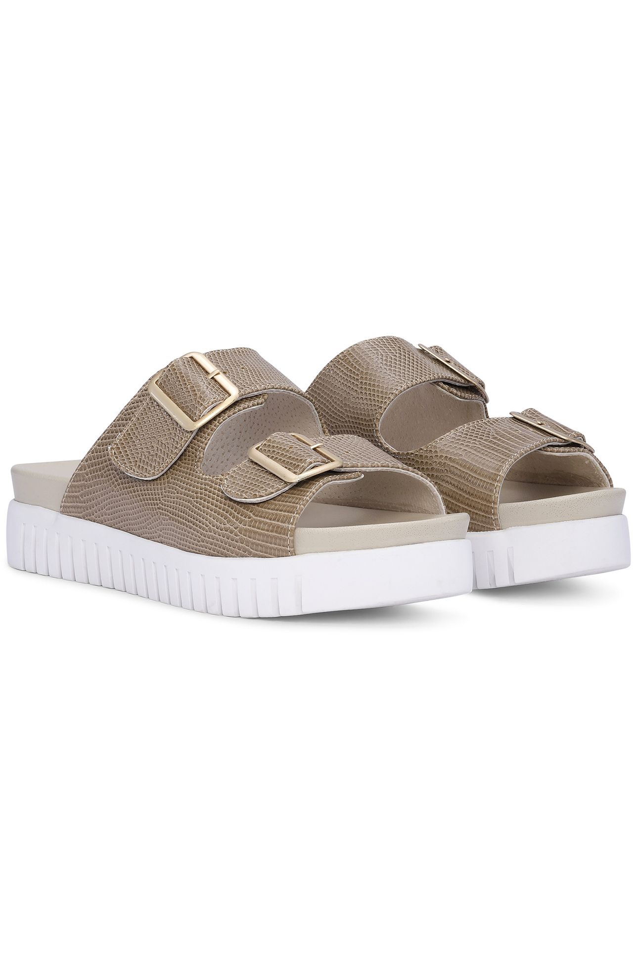 TULIP1165RE FOSSIL 2