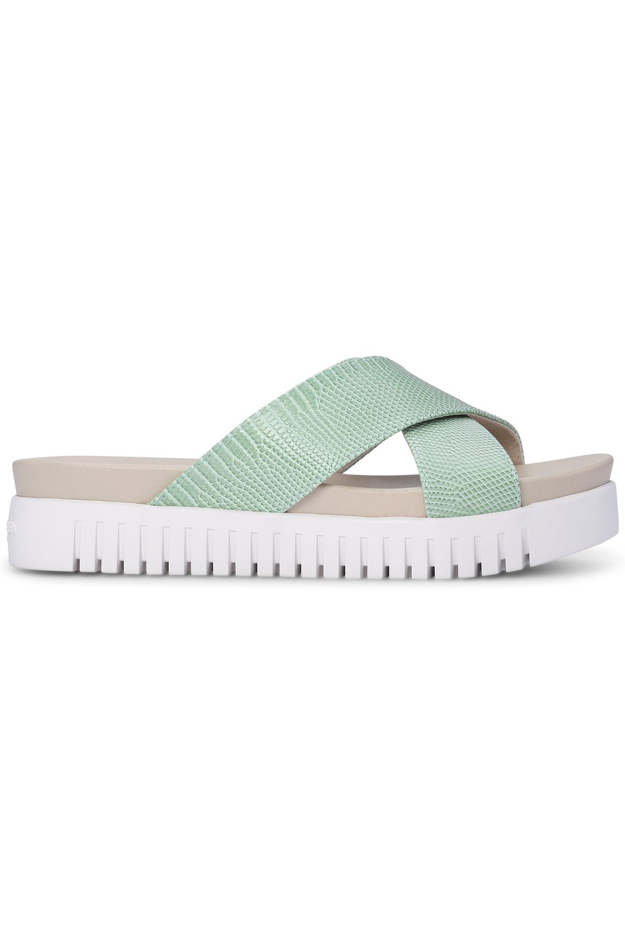 TULIP1465RE PASTEL GREEN 1