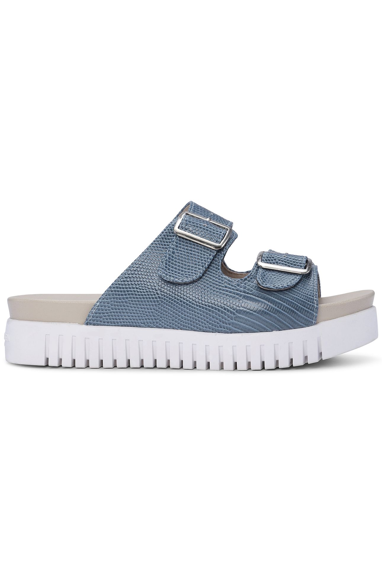 TULIP1165RE SMOKE BLUE 1