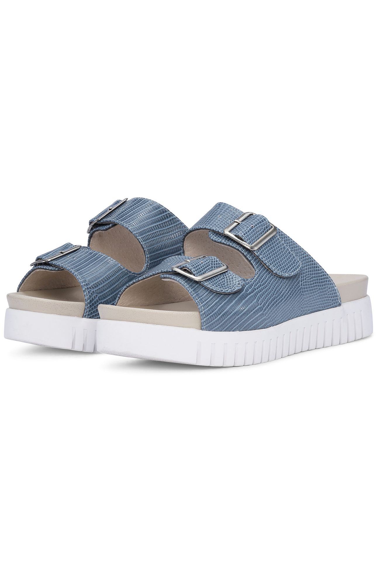 TULIP1165RE SMOKE BLUE 2