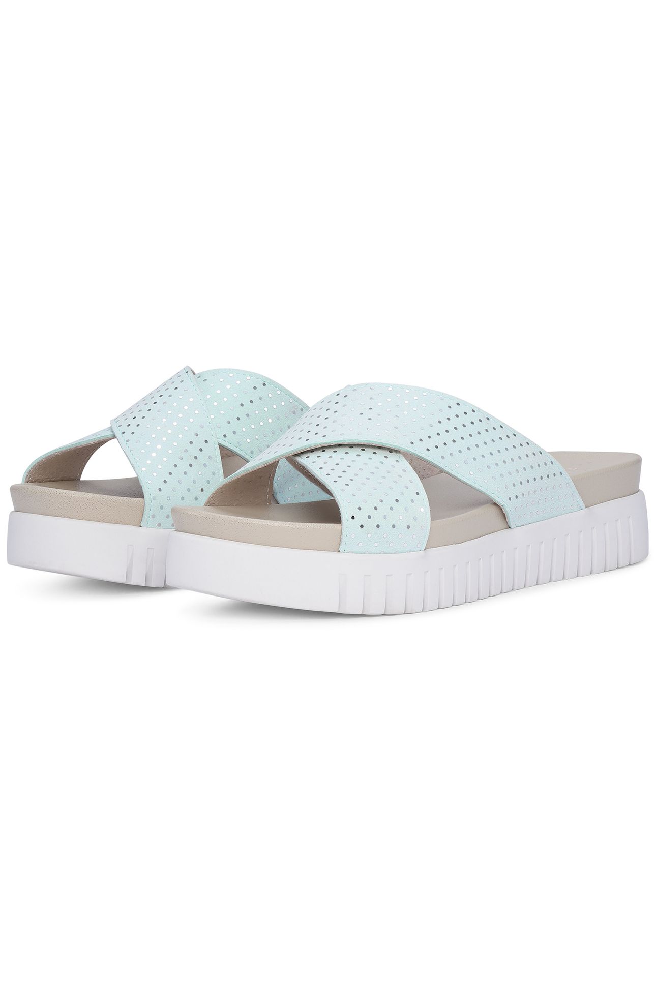 TULIP1475 WHITE BLUE 2