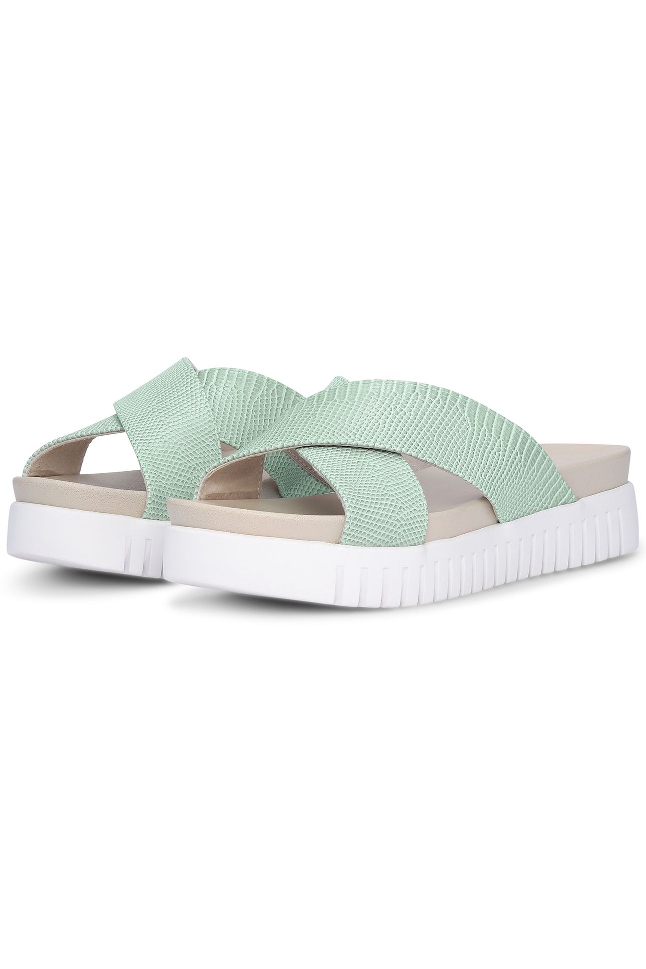 TULIP1465RE PASTEL GREEN 2