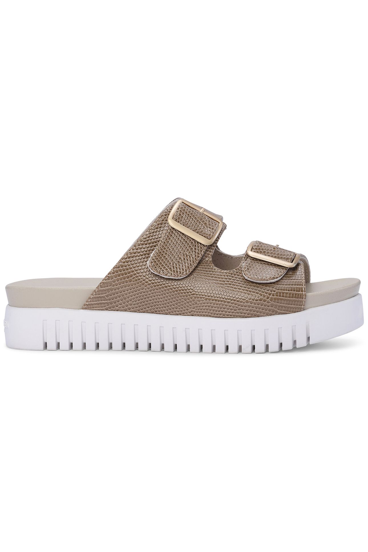 TULIP1165RE FOSSIL 1