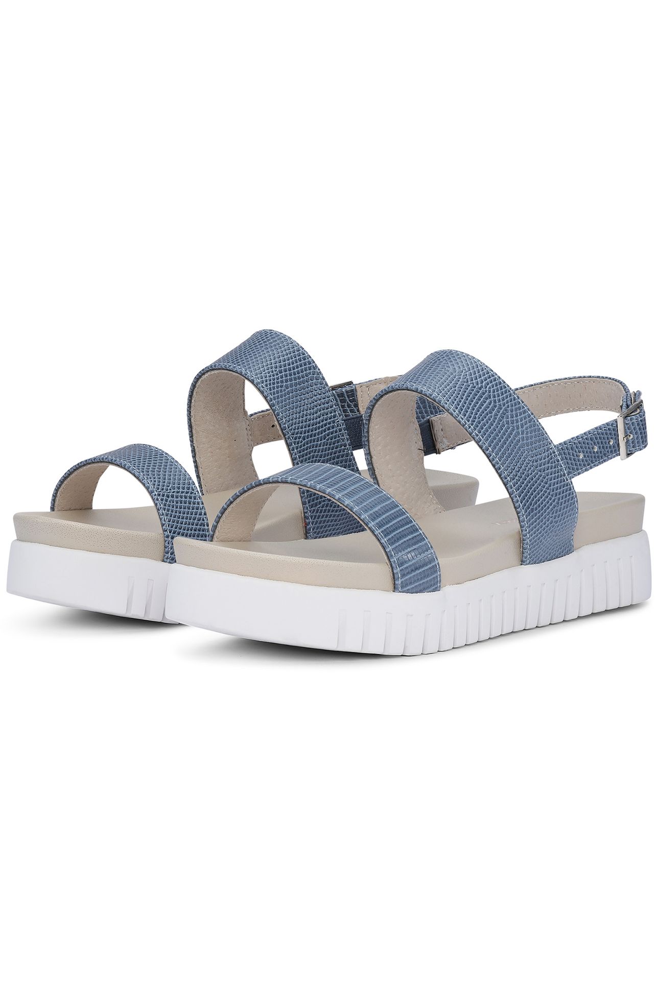 TULIP1065RE SMOKE BLUE 2