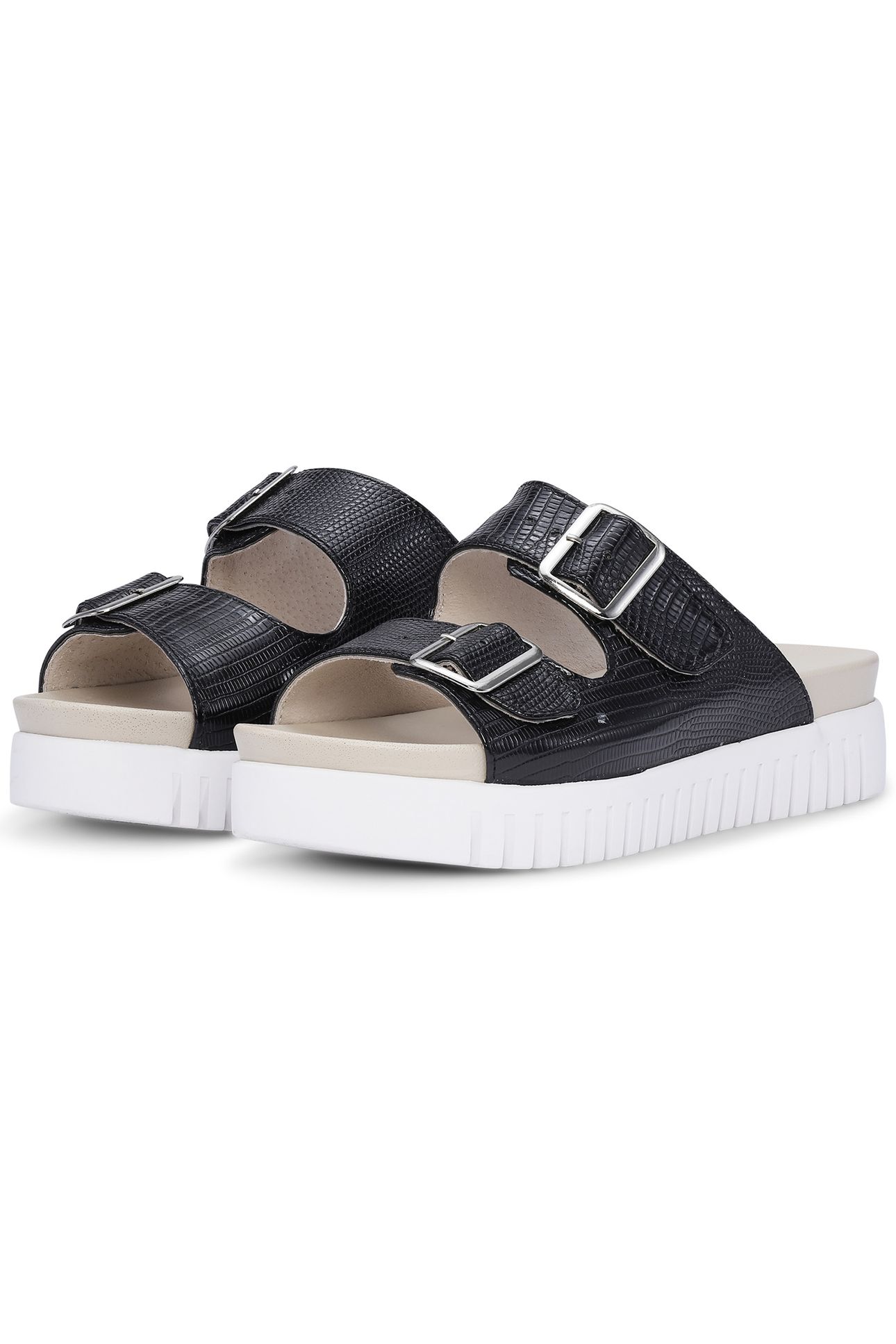 TULIP1165RE BLACK 2