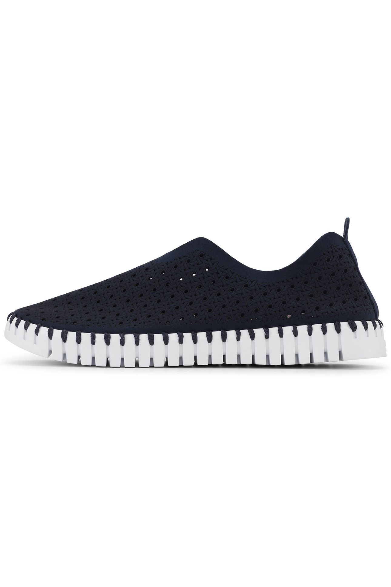 TULIP4031 DARK INDIGO WHITE 1