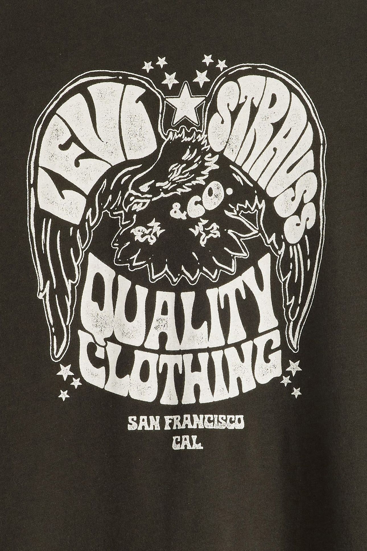 GRAPHIC ICONIC TEE EAGLE TEE PIRATE BLACK 6
