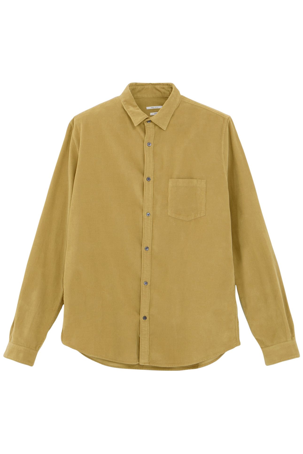 SHIRT REGULAR LICHEN VELVET MILLERAIES 4