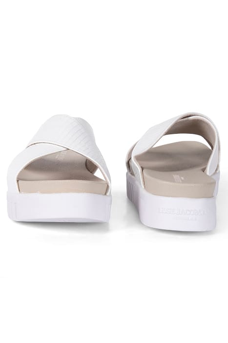 TULIP1465RE WHITE SUGAR 2