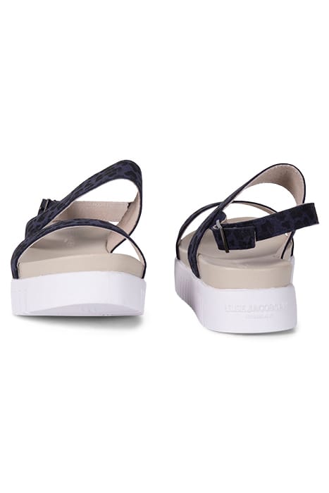 TULIP1075LE DARK INDIGO 2
