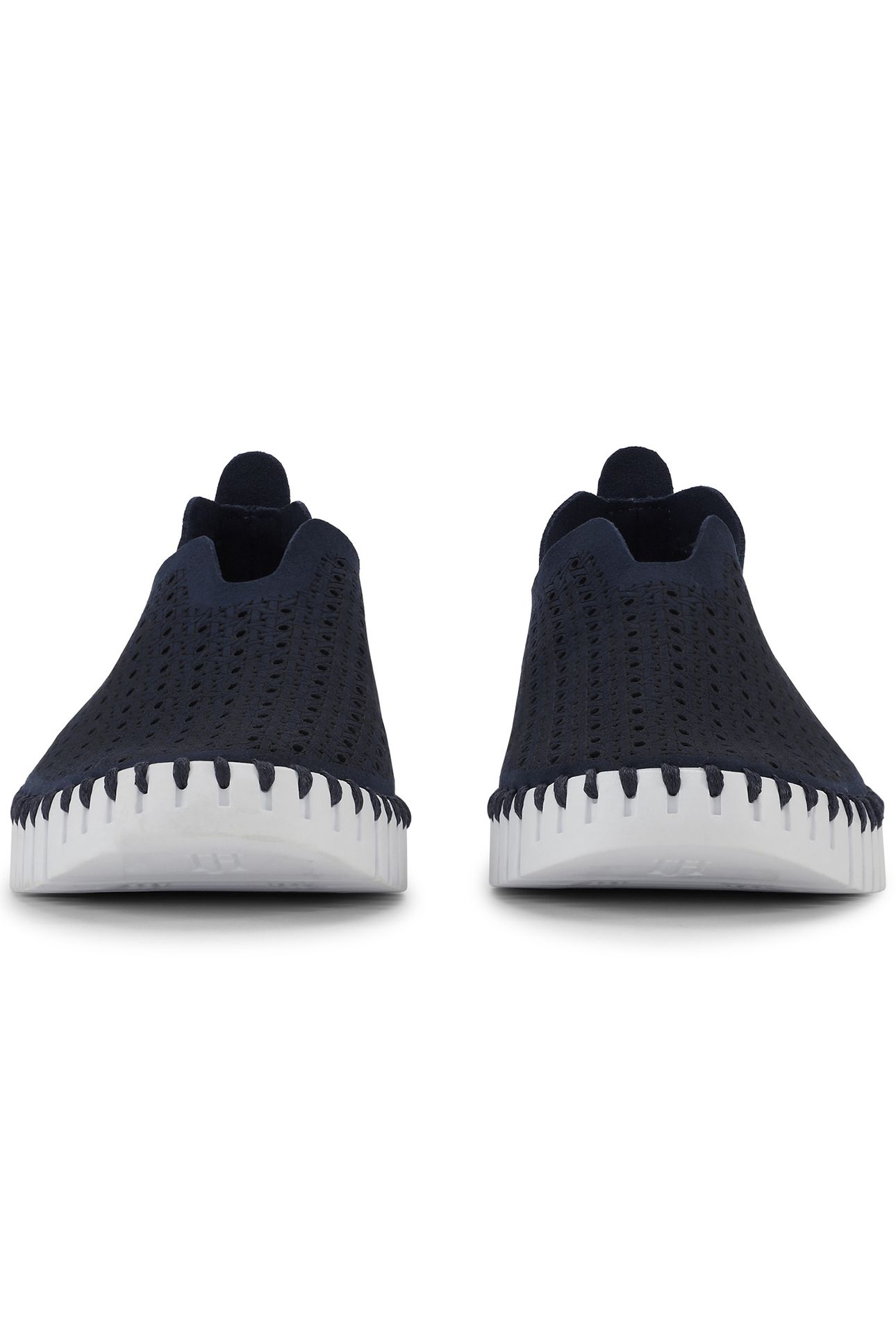 TULIP4031 DARK INDIGO WHITE 7