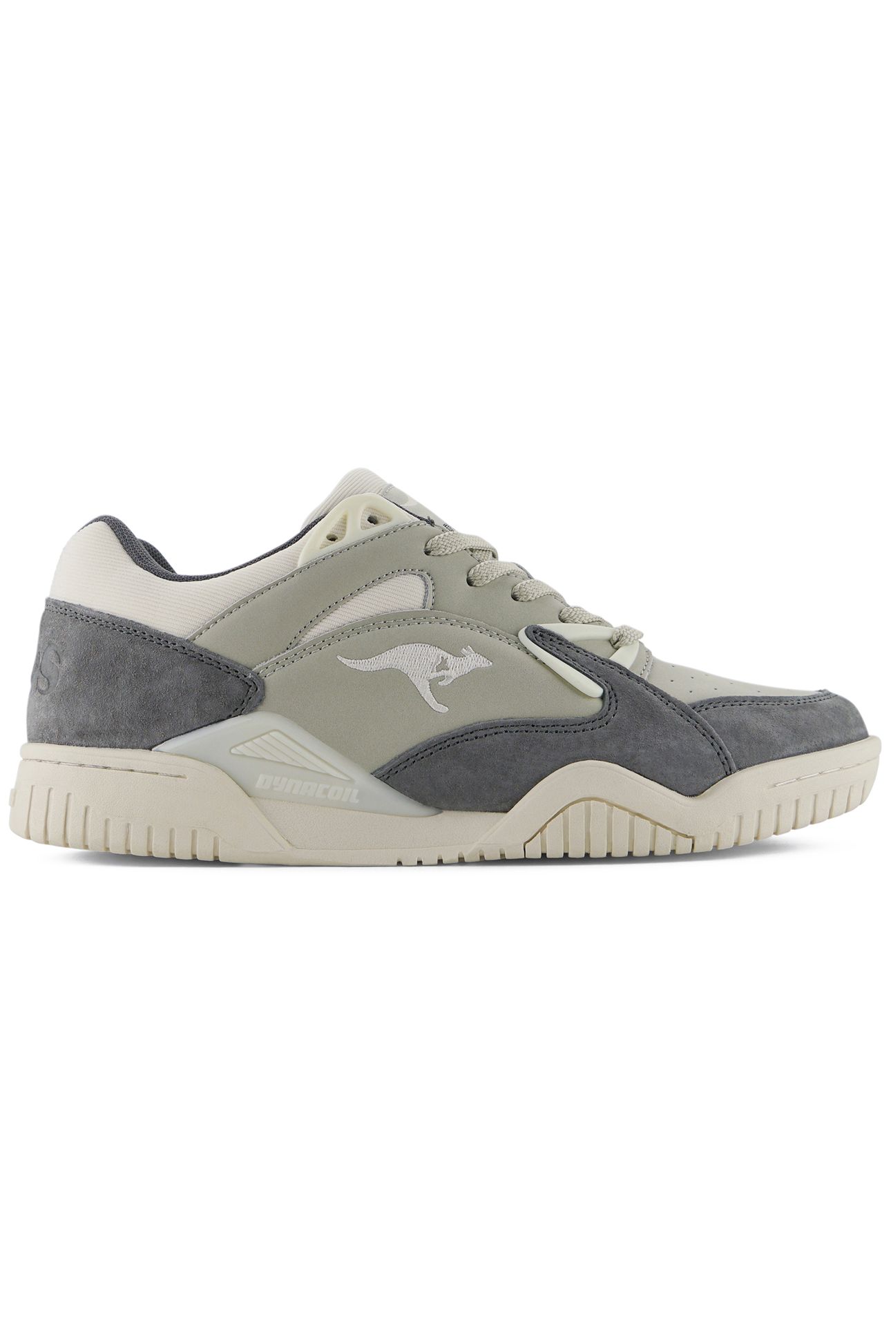 TRUE POINTER STEEL GREY 1
