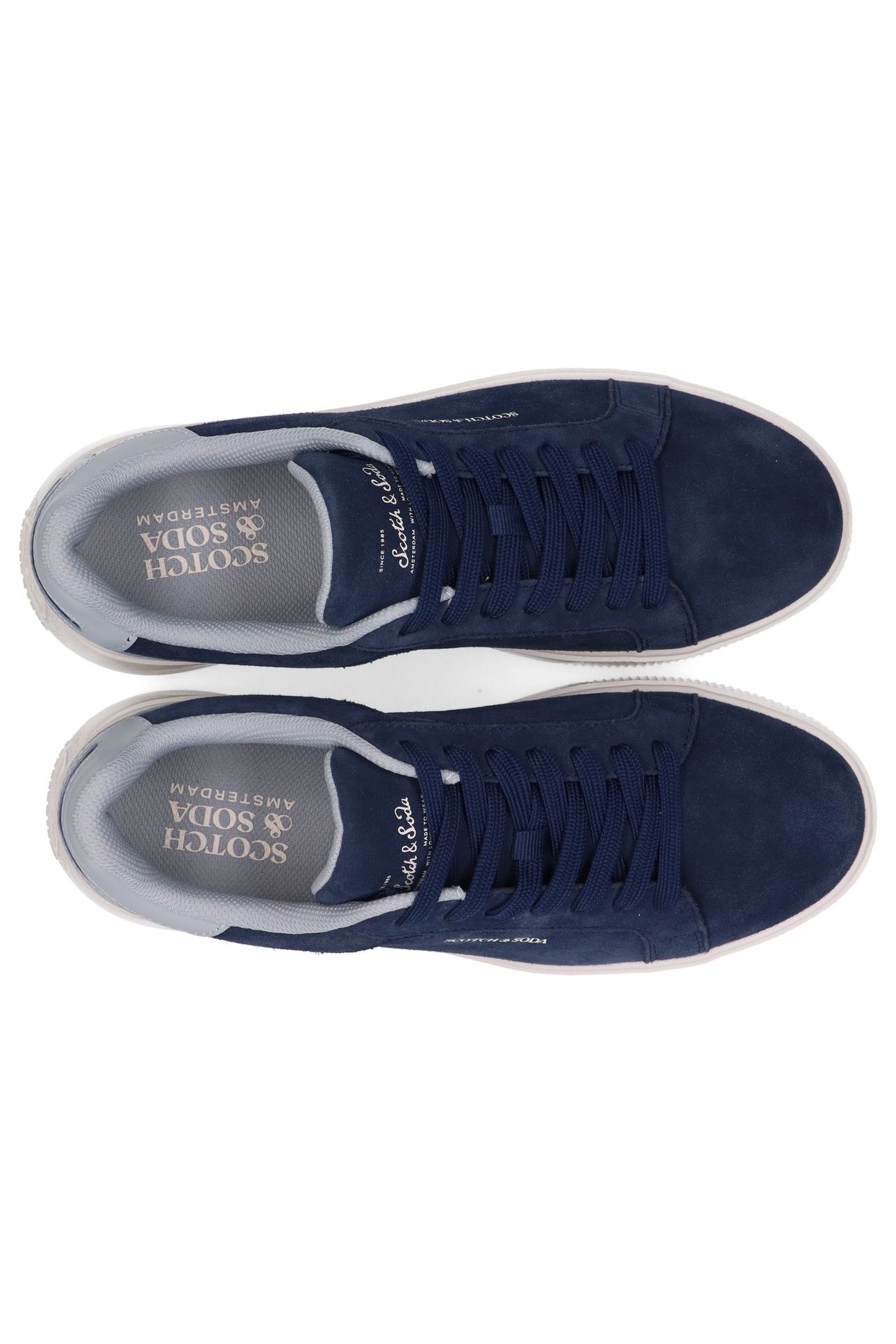 COLEMAN BLUE 3