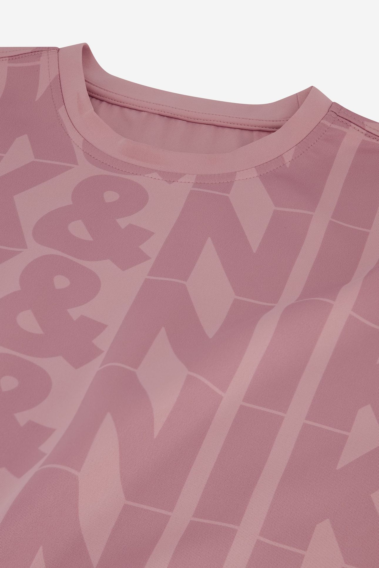 BIG LOGO T-SHIRT MISTY ROSE 3