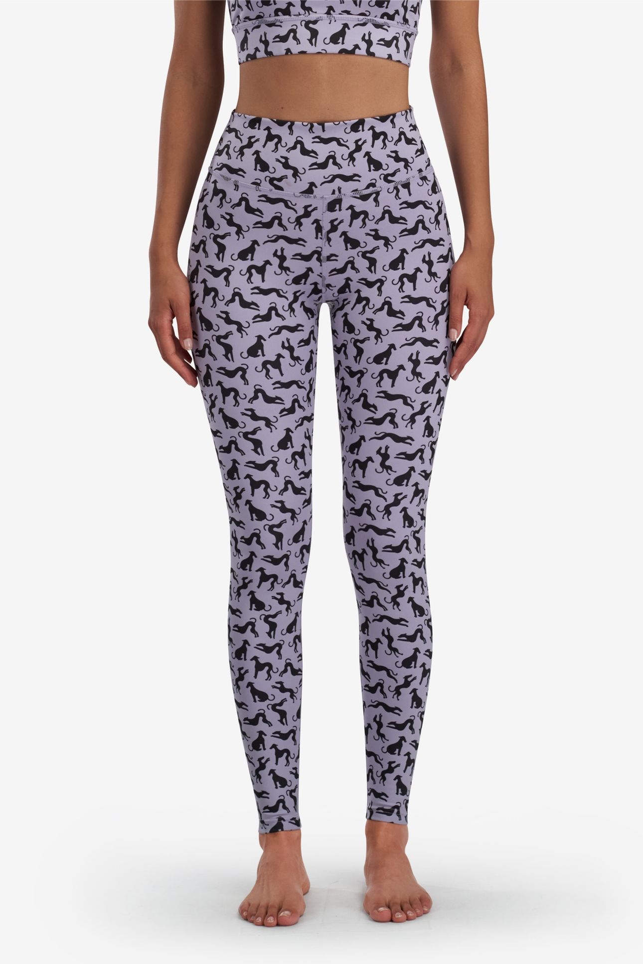 PANTS DOMINIQUE WISTERIA 1