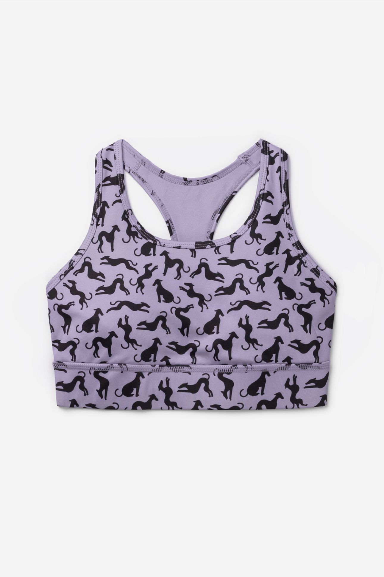 TOP RORY WISTERIA 4