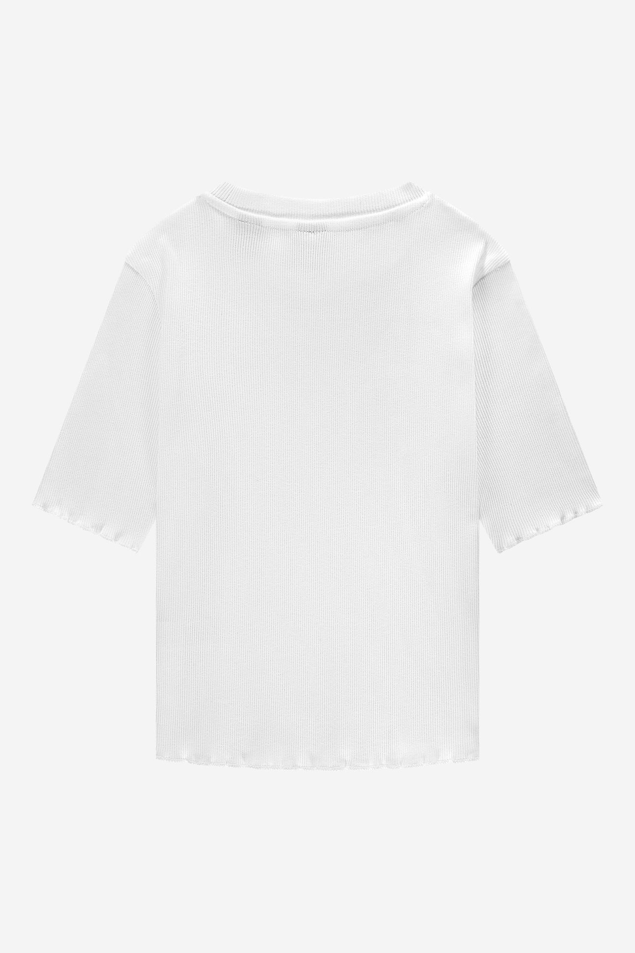 SYLVIA RIB TOP OFF WHITE 2
