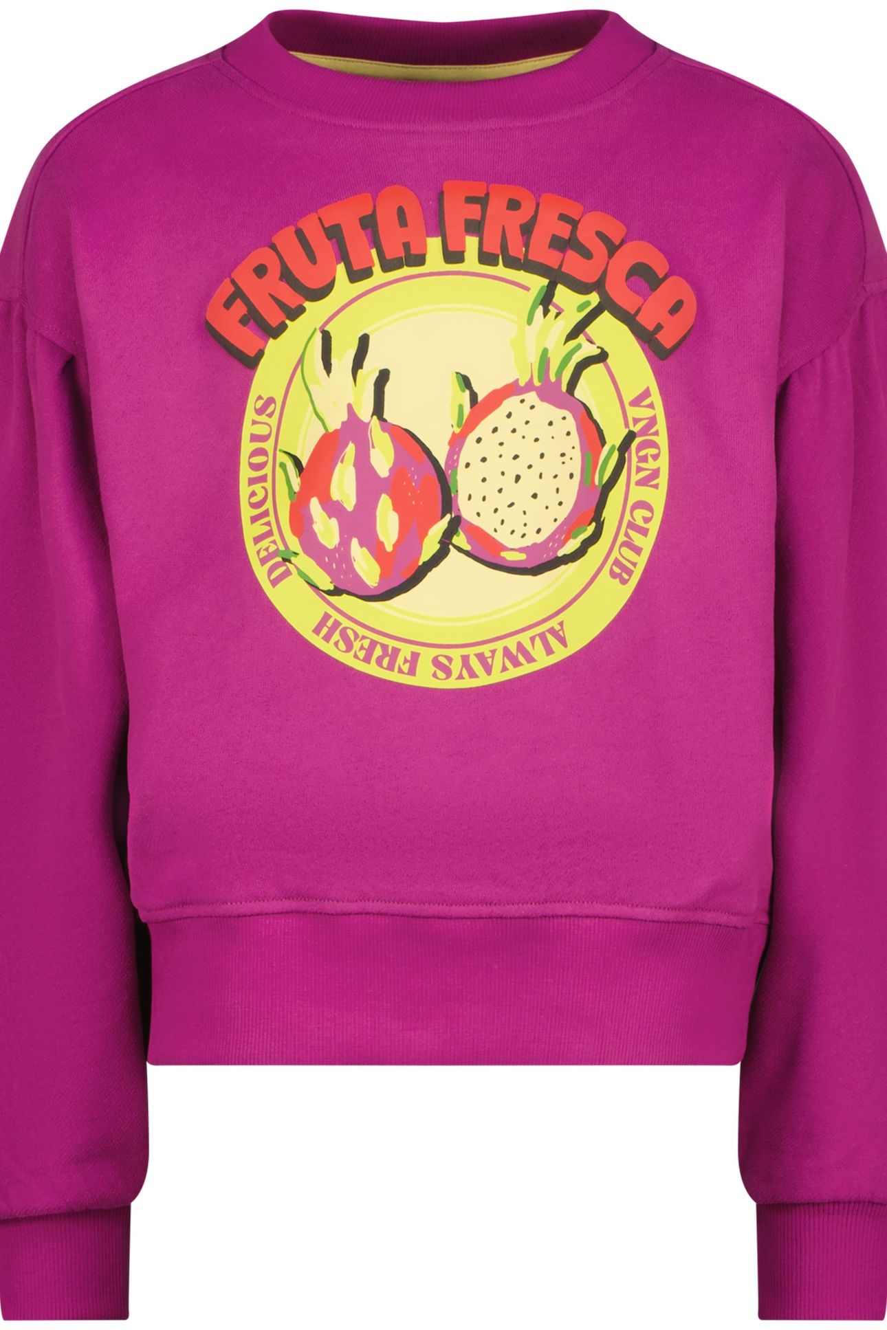 NOLITA ASTER PINK 1