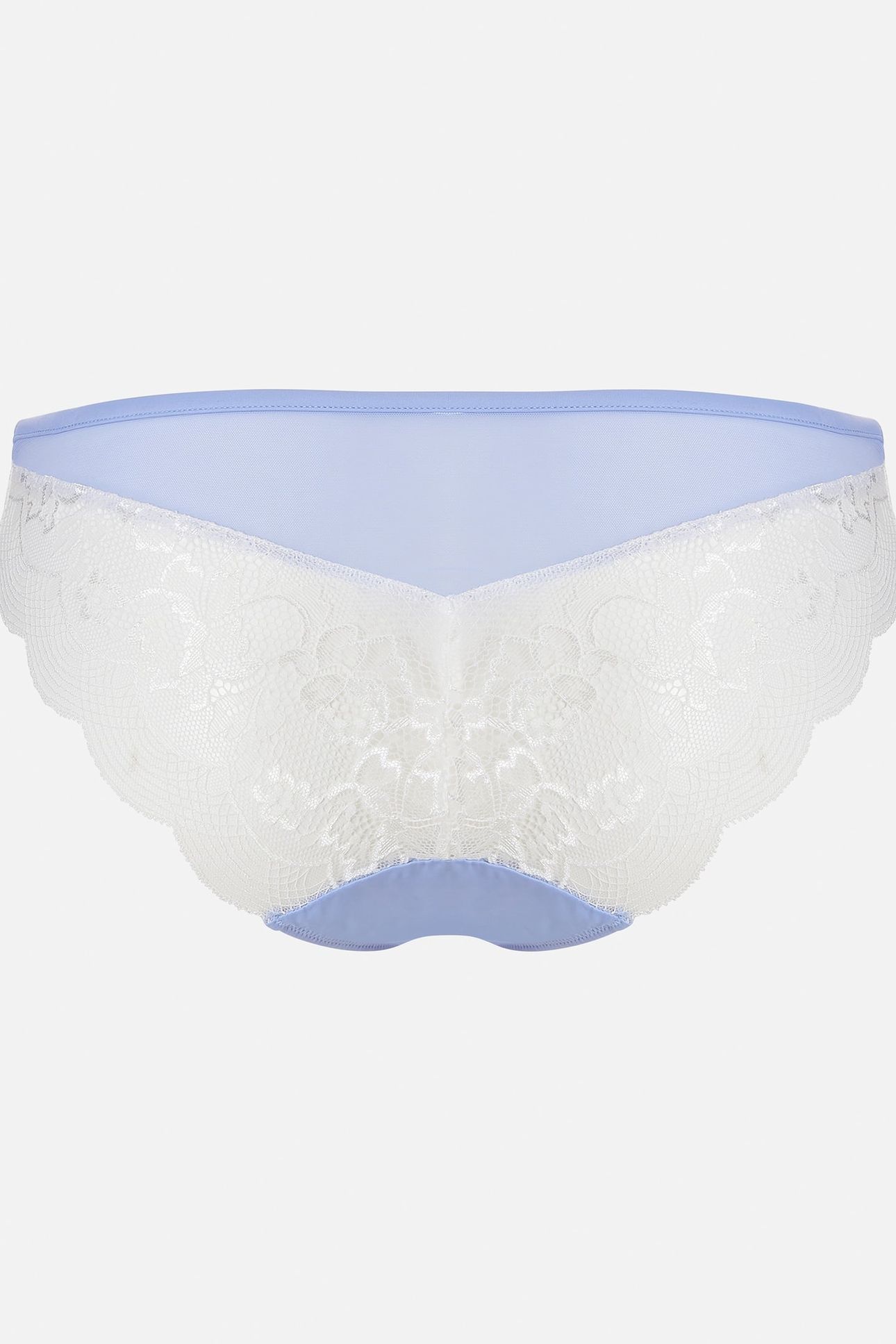 BRIEF REVEALING ENCHANTING LILAC BLUE 1