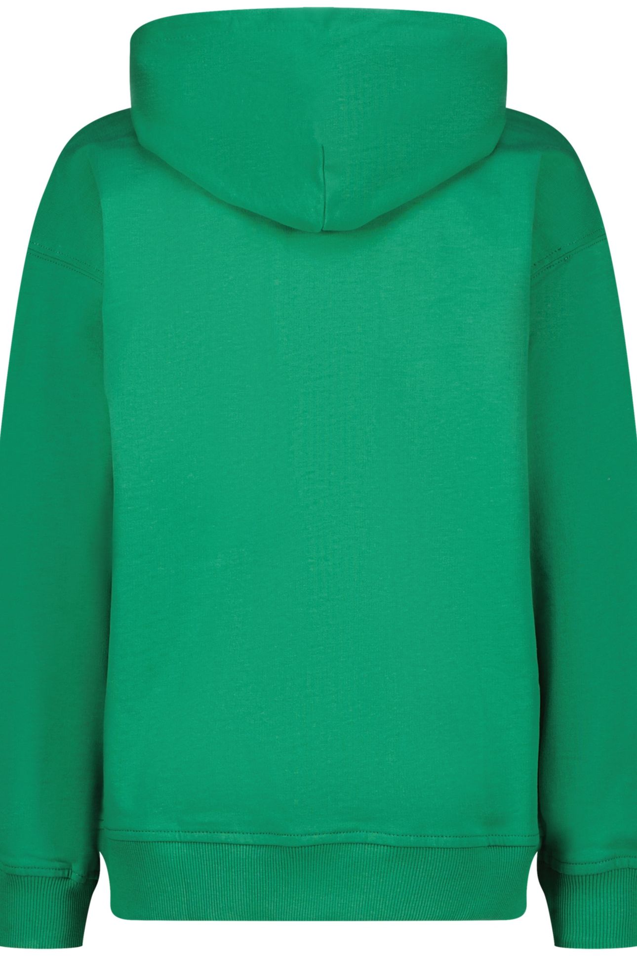 BASIC-HOODY CACTUS GREEN 3