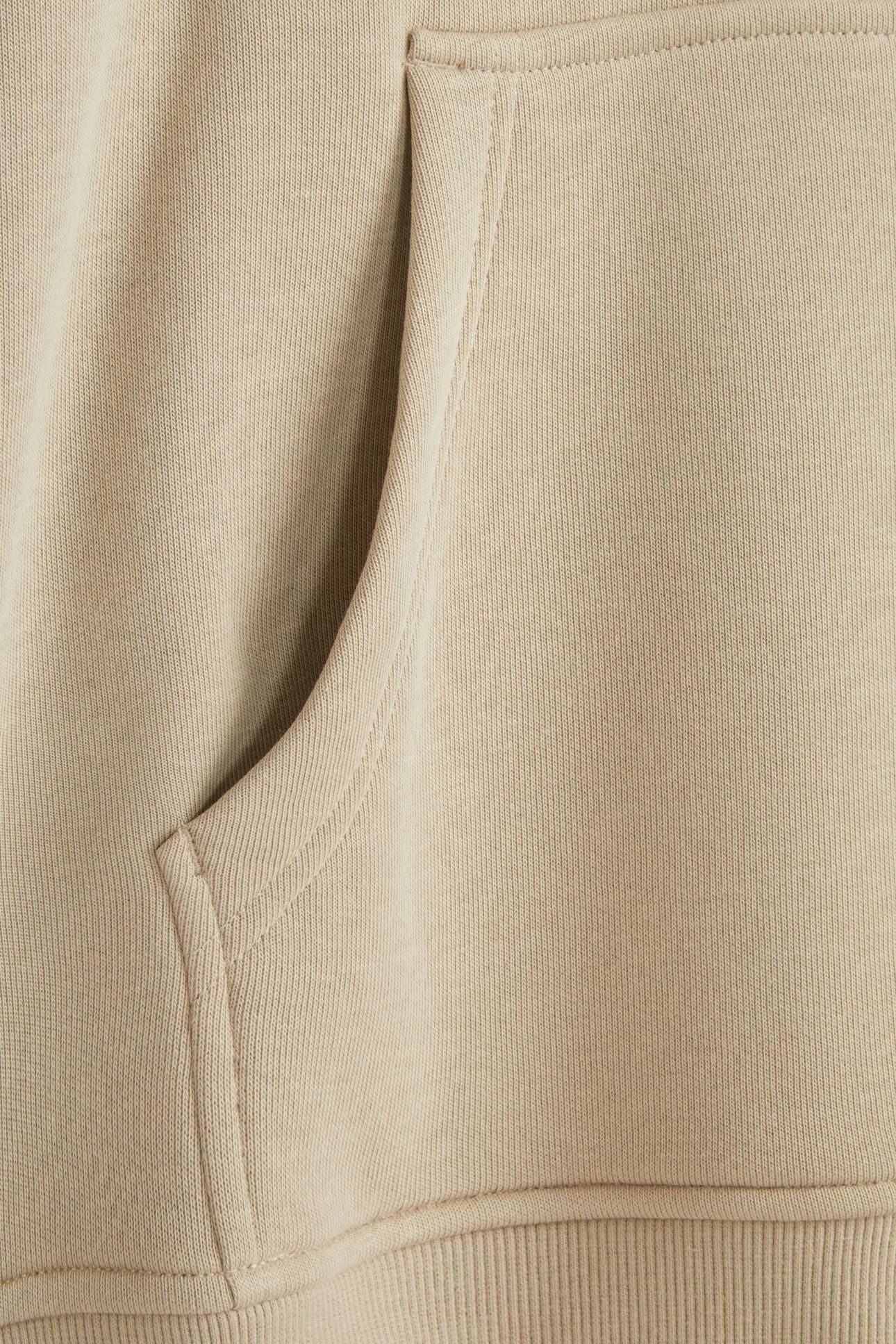 RELAXED FIT FLEECE GRAPHIC HOODIE TAUPE 10