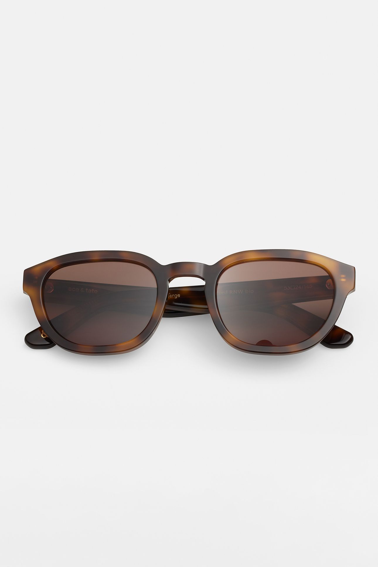 OTIS-LARGE-OXFORD-SUN 2