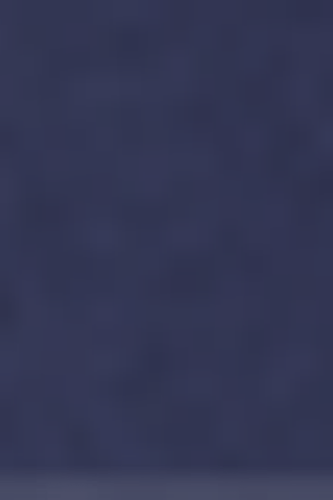 EVERT DARK BLUE 5