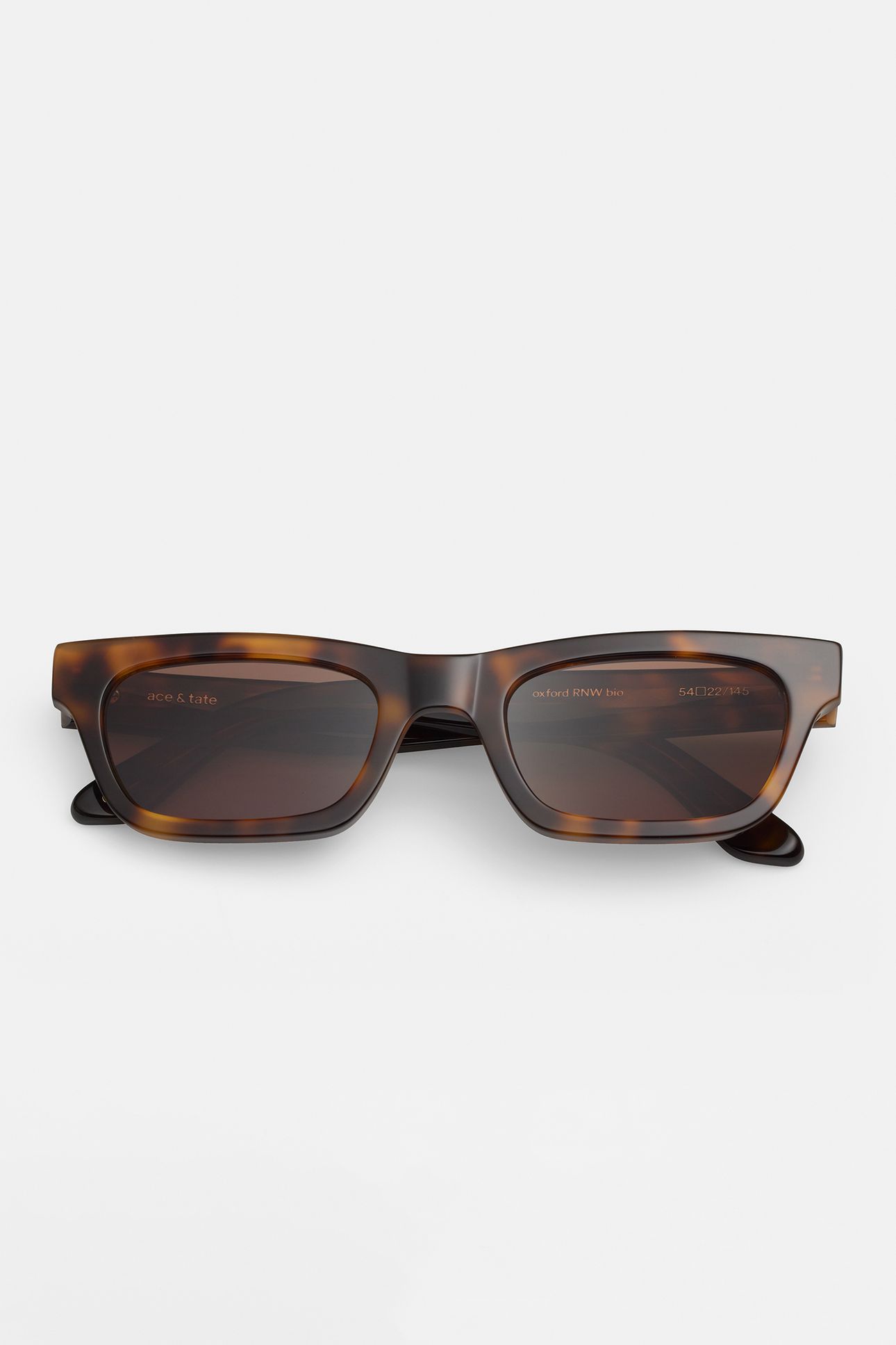 ENZO-OXFORD-SUN 4
