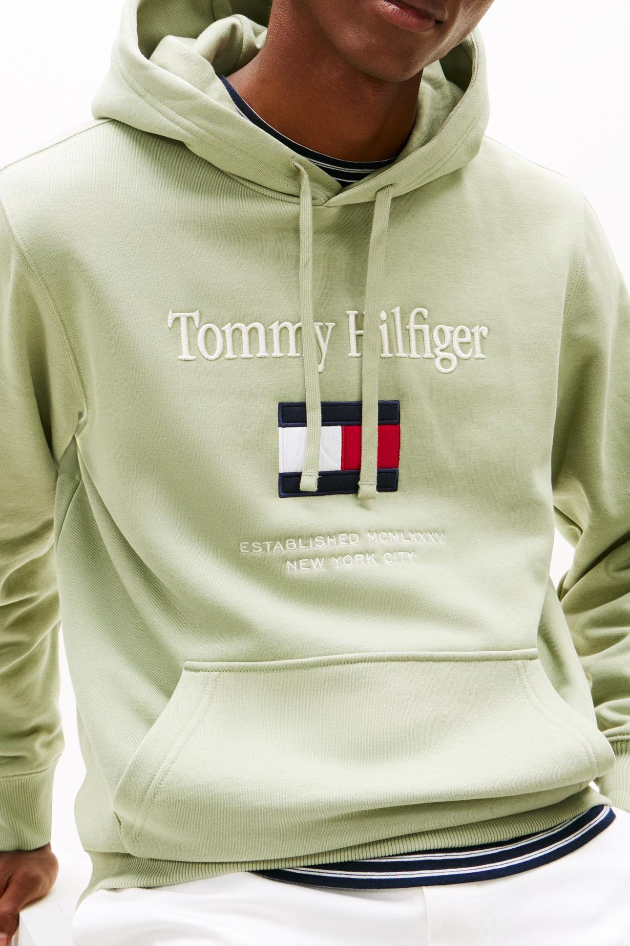TOMMY EMBRO FLAG HOODIE EARTH SAGE 2